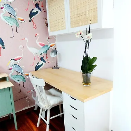 Piso Plaza Roja Centro Zona Nueva *